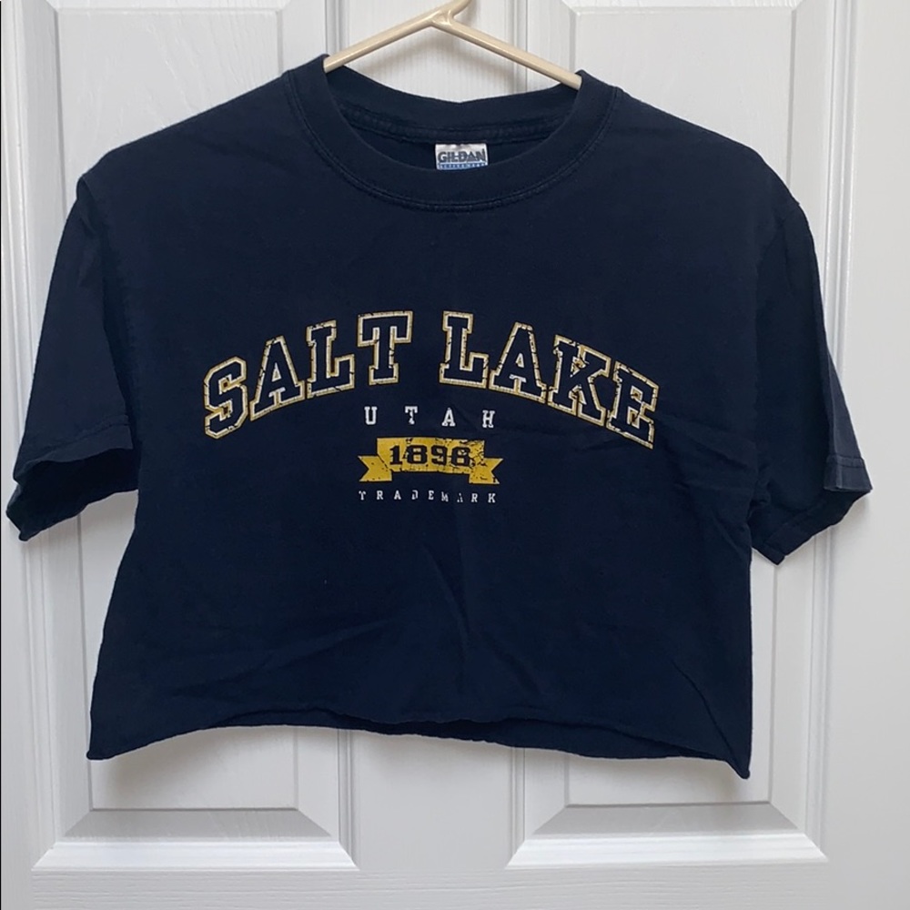 Salt Lake Utah crop top